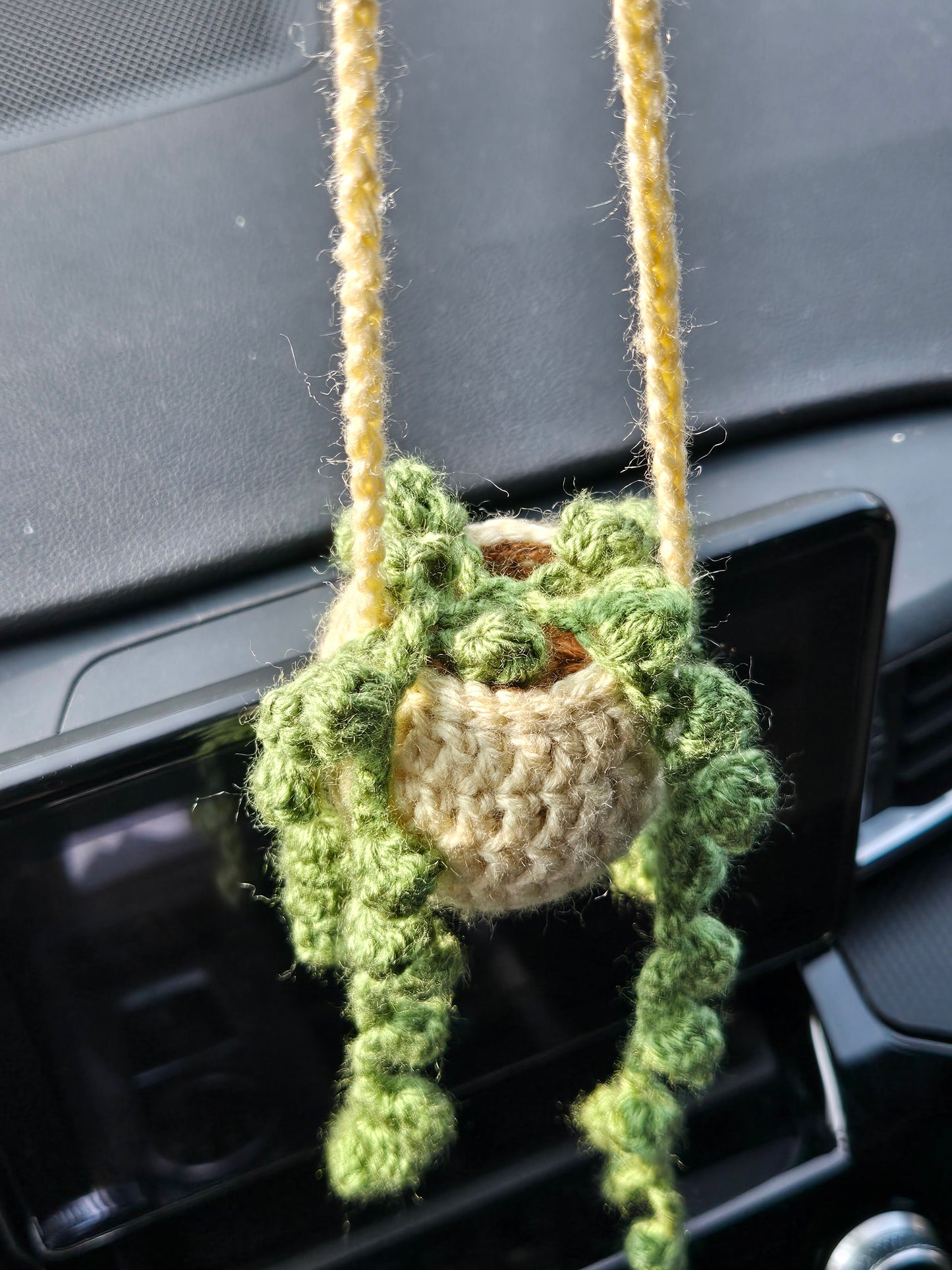Hanging plant