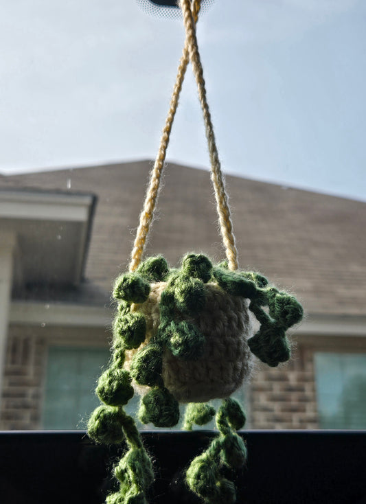 Hanging plant