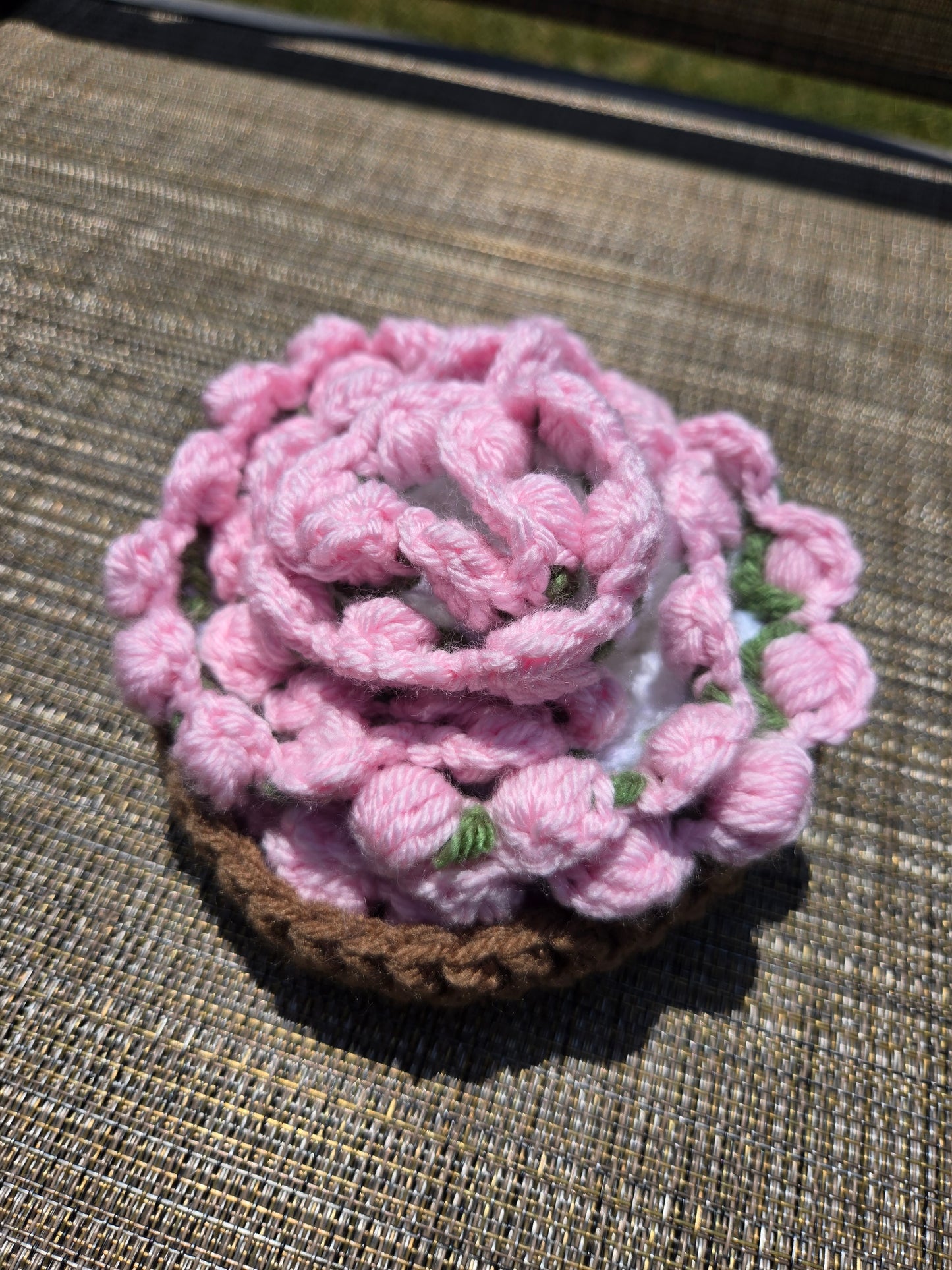 Tulip Coasters