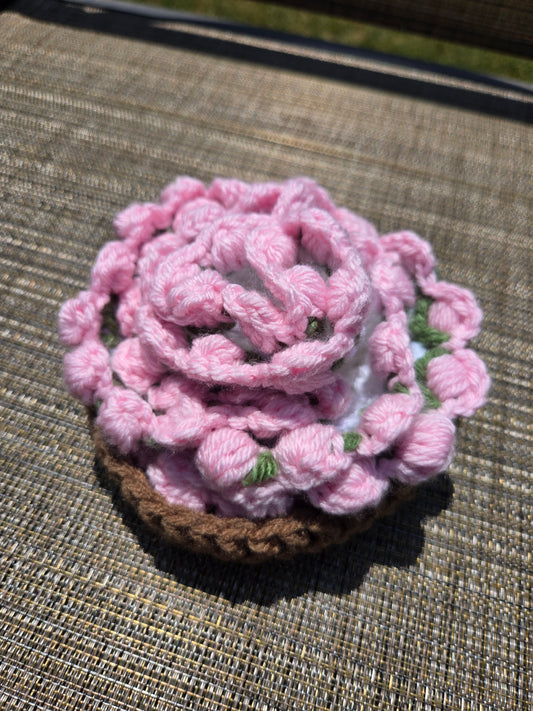 Tulip Coasters